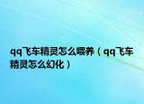 qq飛車精靈怎么喂養(yǎng)（qq飛車精靈怎么幻化）