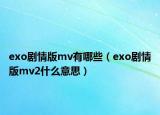 exo劇情版mv有哪些（exo劇情版mv2什么意思）