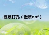 徽章打孔（徽章dnf）