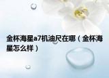 金杯海星a7機油尺在哪（金杯海星怎么樣）
