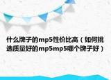 什么牌子的mp5性價比高（如何挑選質(zhì)量好的mp5mp5哪個牌子好）