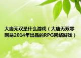 大唐無雙是什么游戲（大唐無雙零 網(wǎng)易2014年出品的RPG網(wǎng)絡(luò)游戲）