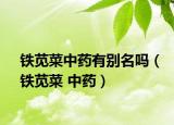 鐵莧菜中藥有別名嗎（鐵莧菜 中藥）
