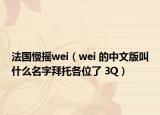 法國慢搖wei（wei 的中文版叫什么名字拜托各位了 3Q）