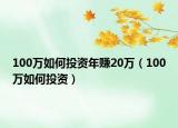100萬如何投資年賺20萬（100萬如何投資）