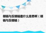傾銷與反傾銷是什么意思啊（傾銷與反傾銷）