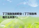 丁丁和張張的職業(yè)（丁丁和張瑋有什么關(guān)系?）