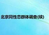 北京同性戀群體調查(續(xù))