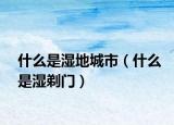 什么是濕地城市（什么是濕剃門）