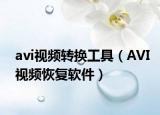 avi視頻轉(zhuǎn)換工具（AVI視頻恢復(fù)軟件）