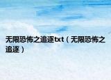 無限恐怖之追逐txt（無限恐怖之追逐）