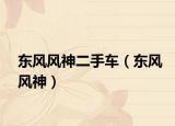 東風(fēng)風(fēng)神二手車（東風(fēng)風(fēng)神）