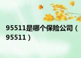 95511是哪個(gè)保險(xiǎn)公司（95511）