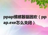 ppap紼嬪簭鏂囦歡（ppap.exe怎么關(guān)閉）