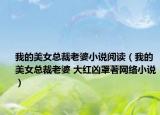 我的美女總裁老婆小說(shuō)閱讀（我的美女總裁老婆 大紅兇罩著網(wǎng)絡(luò)小說(shuō)）