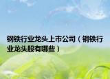 鋼鐵行業(yè)龍頭上市公司（鋼鐵行業(yè)龍頭股有哪些）