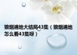 狼煙遍地大結(jié)局43集（狼煙遍地怎么看43集呀）