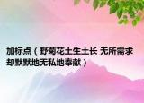 加標(biāo)點(diǎn)（野菊花土生土長(zhǎng) 無(wú)所需求 卻默默地?zé)o私地奉獻(xiàn)）