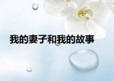 我的妻子和我的故事
