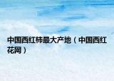 中國(guó)西紅柿最大產(chǎn)地（中國(guó)西紅花網(wǎng)）
