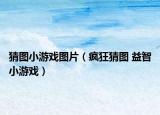猜圖小游戲圖片（瘋狂猜圖 益智小游戲）