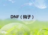 DNF（鉤子）