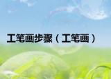 工筆畫步驟（工筆畫）