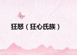 狂怒（狂心氏族）