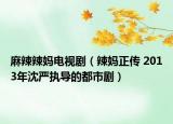 麻辣辣媽電視?。ɡ眿屨齻?2013年沈嚴(yán)執(zhí)導(dǎo)的都市?。? /></span></a>
                        <h2><a  title=