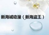 新海誠動漫（新海盜王）