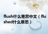 flush什么意思中文（flushed什么意思）