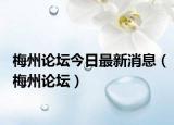 梅州論壇今日最新消息（梅州論壇）