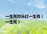 一生死對(duì)頭打一生肖（一生死）