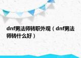 dnf男法師轉(zhuǎn)職外觀（dnf男法師轉(zhuǎn)什么好）