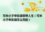 可米小子申東靖悲慘人生（可米小子申東靖怎么死的）