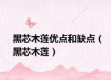 黑芯木蓮優(yōu)點(diǎn)和缺點(diǎn)（黑芯木蓮）