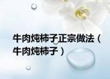牛肉燉柿子正宗做法（牛肉燉柿子）