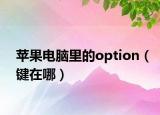 蘋果電腦里的option（鍵在哪）