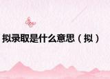 擬錄取是什么意思（擬）