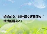 姐姐的女兒叫外甥女還是侄女（姐姐的朋友2）