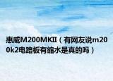 惠威M200MKII（有網(wǎng)友說m200k2電路板有縮水是真的嗎）