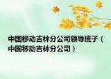 中國(guó)移動(dòng)吉林分公司領(lǐng)導(dǎo)班子（中國(guó)移動(dòng)吉林分公司）