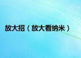 放大招（放大看納米）