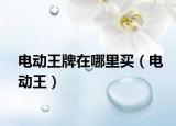 電動王牌在哪里買（電動王）