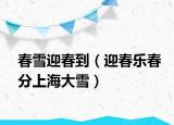 春雪迎春到（迎春樂春分上海大雪）