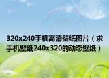 320x240手機高清壁紙圖片（求手機壁紙240x320的動態(tài)壁紙）
