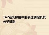 TAZ在乳腺癌中的表達(dá)調(diào)控及其分子機(jī)制