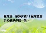 金龍魚一條多少錢?（金龍魚的價(jià)格是多少錢一條）