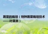 蔬菜的栽培（特種蔬菜栽培技術(shù)——葉菜類）