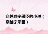 穿越成寧采臣的小說（穿越寧采臣）
